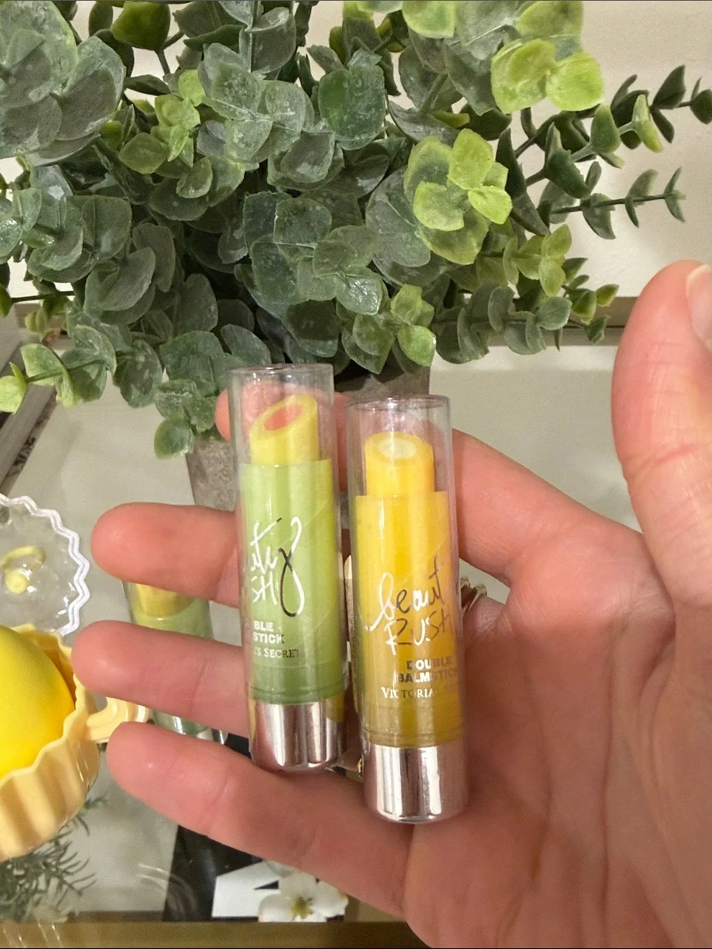 Cactus Make Up Sponge and Lip Balm Set